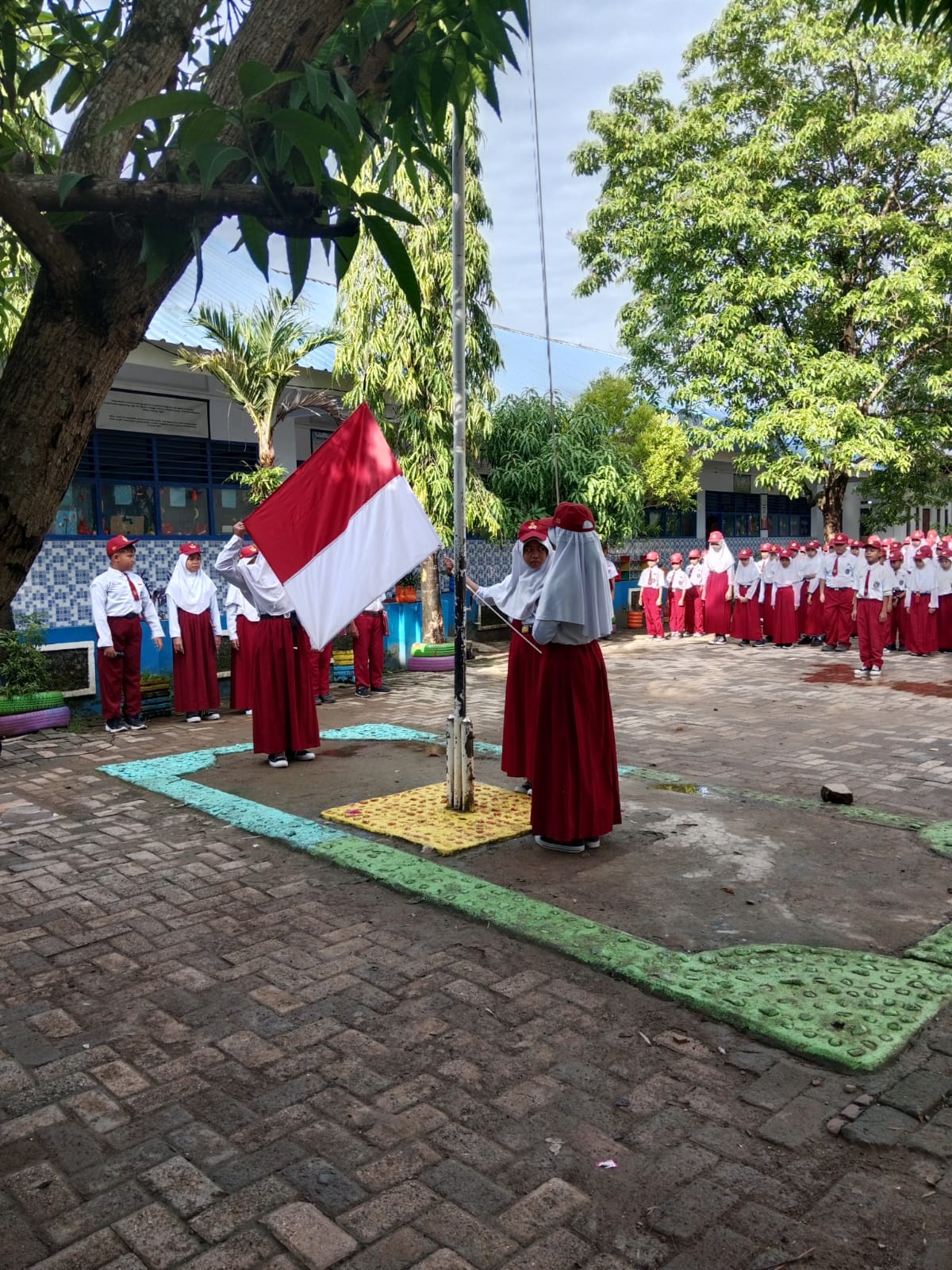 whatsapp image 2026 01 12 at 09.33.27